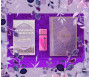 Coffret / Pack Cadeau Mauve pour femme musulmane : Tapis épais molletonné Mauve / Citadelle Mauve / Parfum Musc 5ml / Coran arabe-français avec phonétique couverture daim format moyen Mauve